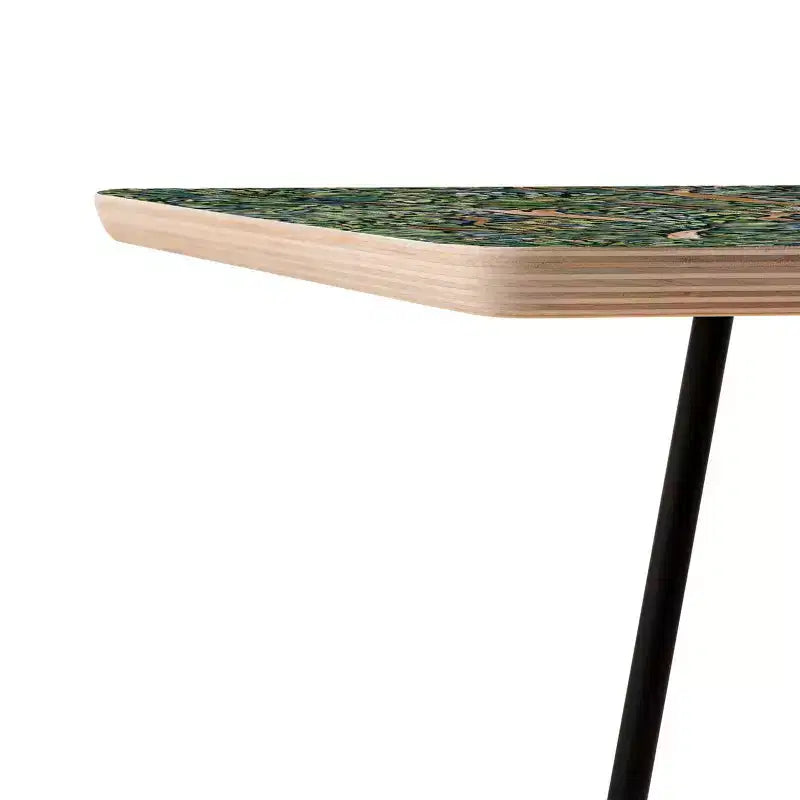 Jacqueline Maldonado Alberi Fauves Lato Oscuro Tavolo Quadrato - Deny Designs