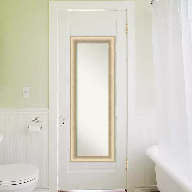 Amanti Art Elegante specchio da porta spazzolato color miele senza bordo, specchio a figura intera, specchio da parete 52.75 in. x 18.75 in.