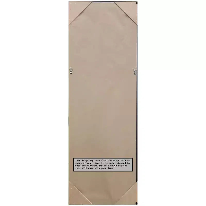 Amanti Art Elegante specchio da porta spazzolato color miele senza bordo, specchio a figura intera, specchio da parete 52.75 in. x 18.75 in.