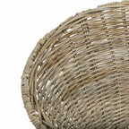 Poltrona d'accento Sierra in rattan - ACH6501 - Safavieh