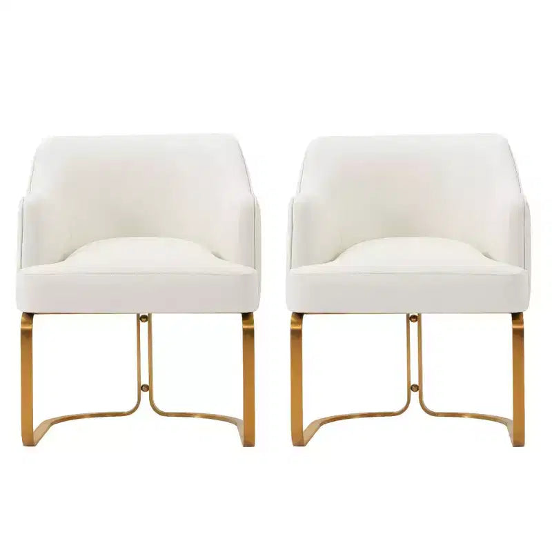 Manhattan Comfort Set di 2 Sedie da Pranzo Raya Moderne Imbottite in Similpelle con Braccioli