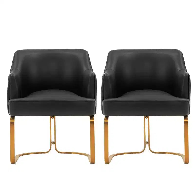 Manhattan Comfort Set di 2 Sedie da Pranzo Raya Moderne Imbottite in Similpelle con Braccioli