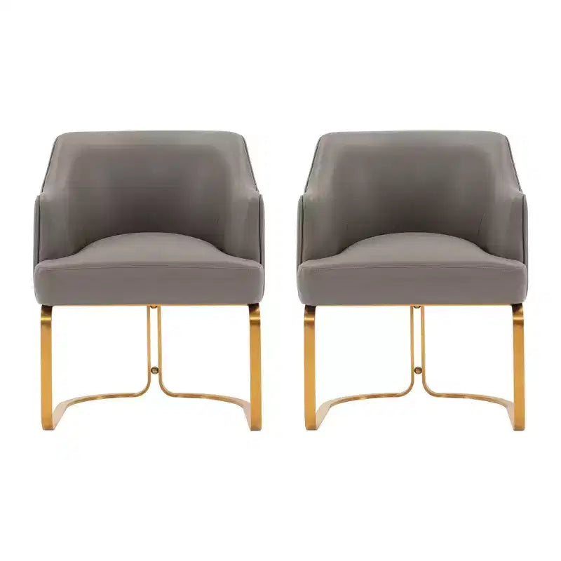 Manhattan Comfort Set di 2 Sedie da Pranzo Raya Moderne Imbottite in Similpelle con Braccioli