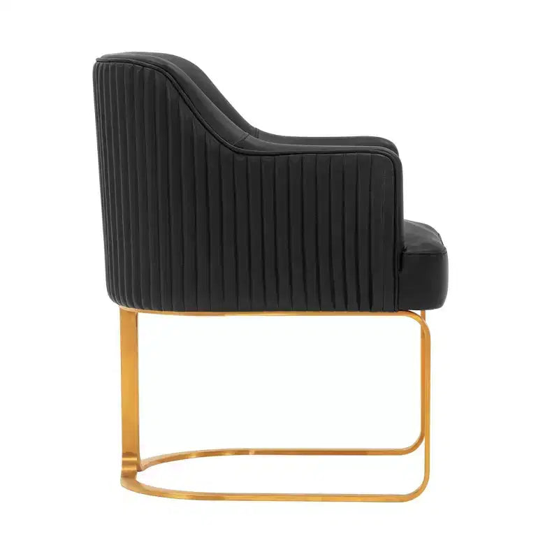 Manhattan Comfort Set di 2 Sedie da Pranzo Raya Moderne Imbottite in Similpelle con Braccioli