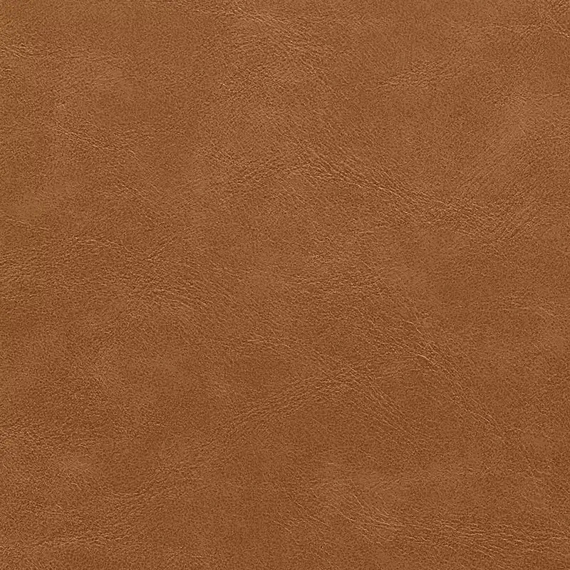 HOMLUX Set di 2 sedie da pranzo imbottite in pioppo, moderne sedie d'accento in similpelle per camera da letto, cucina, sala da pranzo, angolo colazione