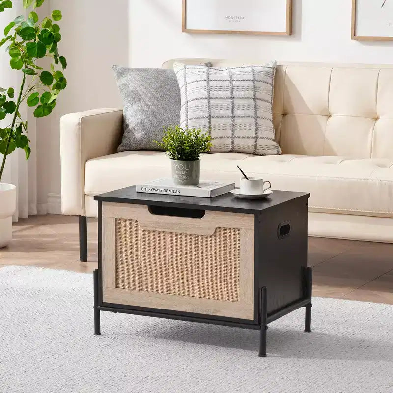 Panca portaoggetti in rattan con cuscino per ingresso, soggiorno, camera da letto, nero