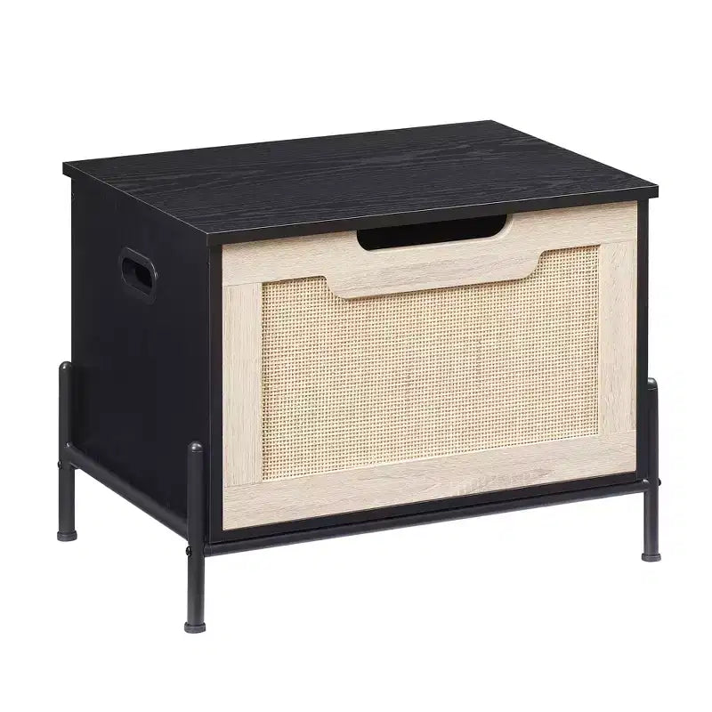 Panca portaoggetti in rattan con cuscino per ingresso, soggiorno, camera da letto, nero