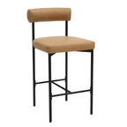 Nathan James Set of 2 Dahlia Counter Height Barstools